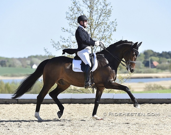Michael Sogaard and Slaebaeksgaard's Santino :: Photo © Ridehesten