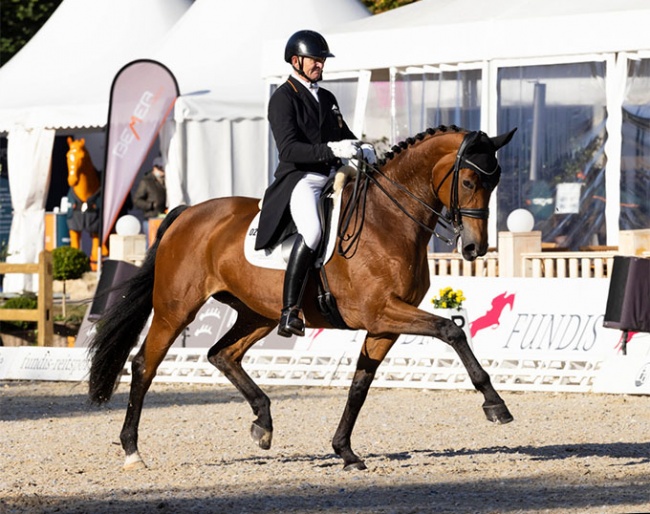 Hubertus Schmidt on Estelle on 2021 CDI Ludwigsburg :: Photo © Thomas Hellmann