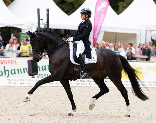 Dorothee Schneider and First Romance at the 2021 CDI Ludwigsburg :: Photo © Thomas Hellmann