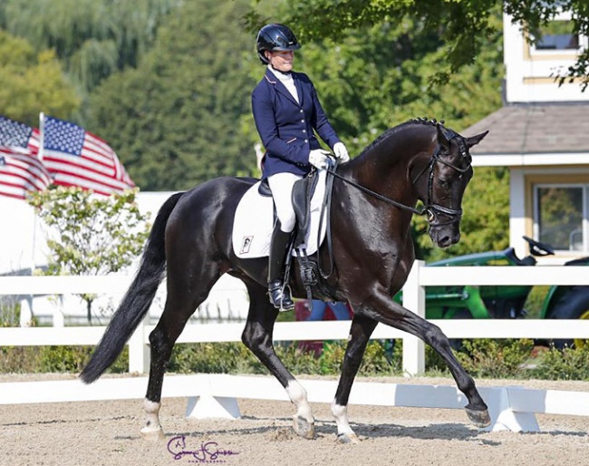 Katryna Evans on Fontenay at the 2021 U.S. young horse Championships :: Photo © Sue Stickle