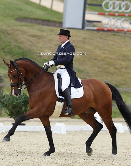 Jon D. Pedersen on his last international competition horse, Jose Kilen, before committing full time to training. Here they rode at the 2012 CDI Leudelange :: Photo © Astrid Appels