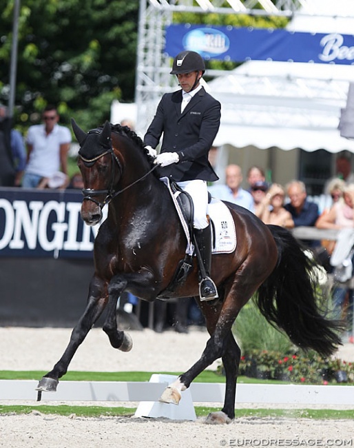 Andreas Helgstrand and Revolution at the 2019 World Championships for Young Dressage Horses :: Photo © Astrid Appels