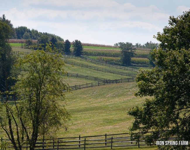 Pasture management is essential for the welfare and health of your horse