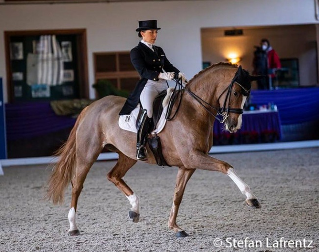 Charlott-Maria Schürmann and Simsalabim OLD at the 2020 Nurnberger Burgpokal Finals in Kronberg :: Photo © Stefan Lafrentz