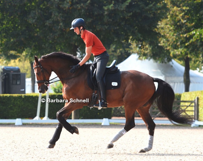 Juan Matute Guimon schooling Quantico at the 2021 CDIO Aachen :: Photo © Barbara Schnell