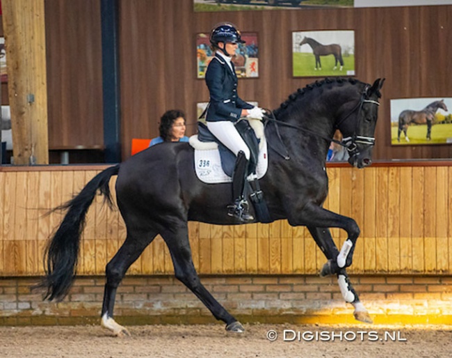 Marieke van der Putten and Lacrosse RS2 at the 2021 KWPN Stallion Saddle Presentation :: Photo © Digishots
