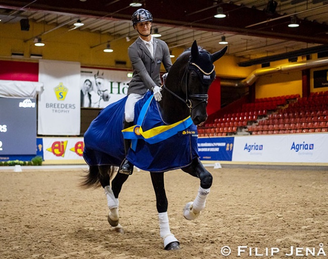 Carl Hedin and Skyline To Be at the 2021 Swedish Warmblood Young Horse Championships :: Photo © Filip Jenå