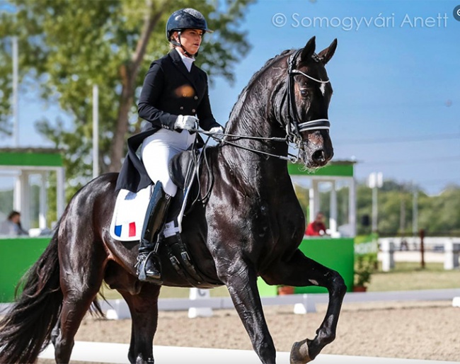 Morgan Barbançon and Sir Donnerhall II OLD at the 2021 CDI-W Fot :: Photo © Anett Somogyvari