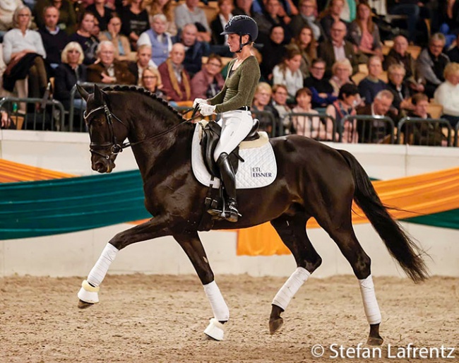 Helen Langehanenberg and Kwahu at the 2021 Trakehner Stallion Licensing gala presentation :: Photo © Stefan Lafrentz