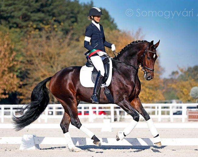 Emese Vagi and Felix at the 2021 Hungarian Young Horse Championships in Pilisjaszfalu, Hungary :: Photo © Anett Somogyvari