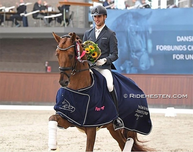 Eric Guardia Martinez and My Vitality win the 4-year old division at the 2021 Danish Young Horse Championships :: Photo © Ridehesten