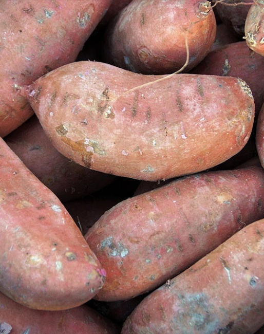 sweet potato