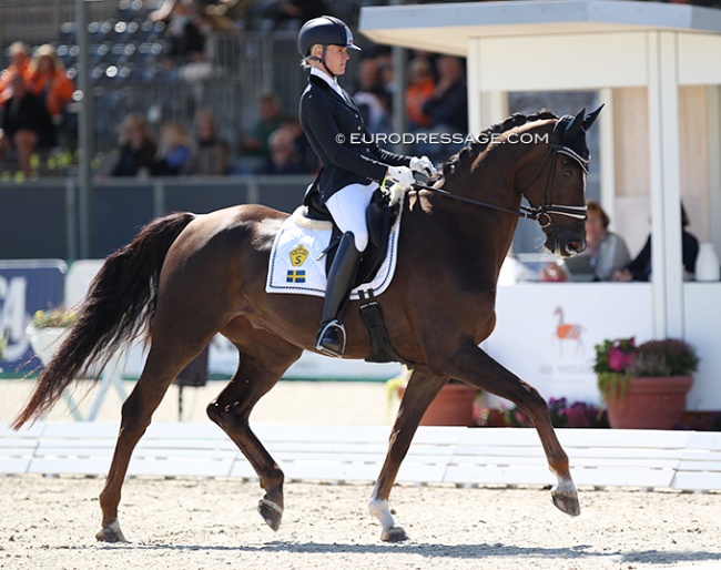 Emma Ahlberg and Furstepoppel at the 2021 World Young Horse Championships in Verden :: Photo © Astrid Appels
