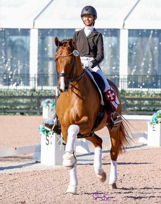 Ellesse Gundersen (née Tzinberg) on Villeroy Nord at the 2020 CDI Wellington :: Photo © Sue Stickle