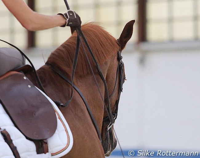 Always keep the wrist relaxed and straight when using rein aids. The whole upper limb from shoulders to fingertips needs to feel soft, after the rein aid the hand returns down again. Using the direction of the rein is very clear and helpful for the horse in many exercises.