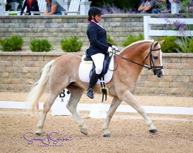 Suzannah Rogers and Adrenalin Rush SBF at the 2017 U.S. Pony Championships :: Photo © Sue Stickle