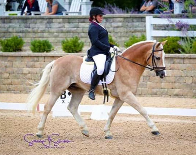 Suzannah Rogers and Adrenalin Rush SBF at the 2017 U.S. Pony Championships :: Photo © Sue Stickle
