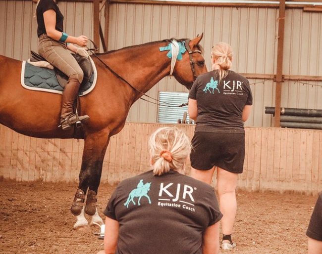 Rein contact and muscle activity measured with wearable superficial EMG sensors on horses and riders while they were riding :: Photos © Sofia Ankkuri