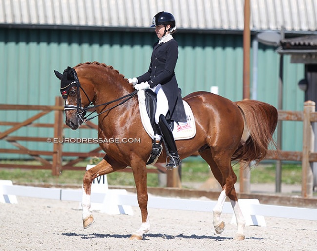 Simone Pearce and Double Joy at the 2021 CDI Grote Brogel :: Photo © Astrid Appels