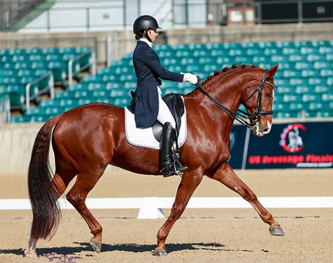 Mariah Crumbaker on Baronchelli (by Oscar x Cabochon) at the 2021 USDF Dressage Finals :: Photo © Sue Stickle