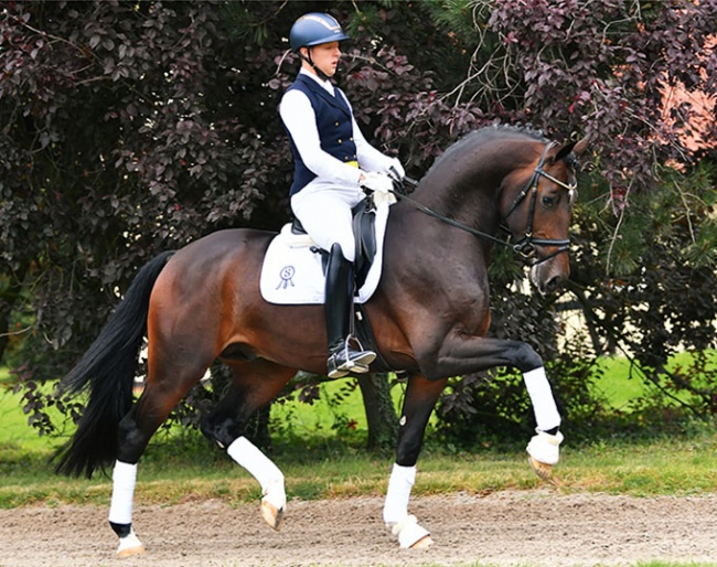 Frescobaldi (by Foundation x Sezuan x Furst Romancier)