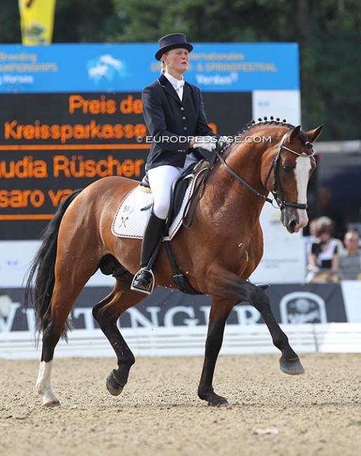 Claudia Rüscher and Lissaro van de Helle at the 2010 World Young Horse Championships :: Photo © Astrid Appels