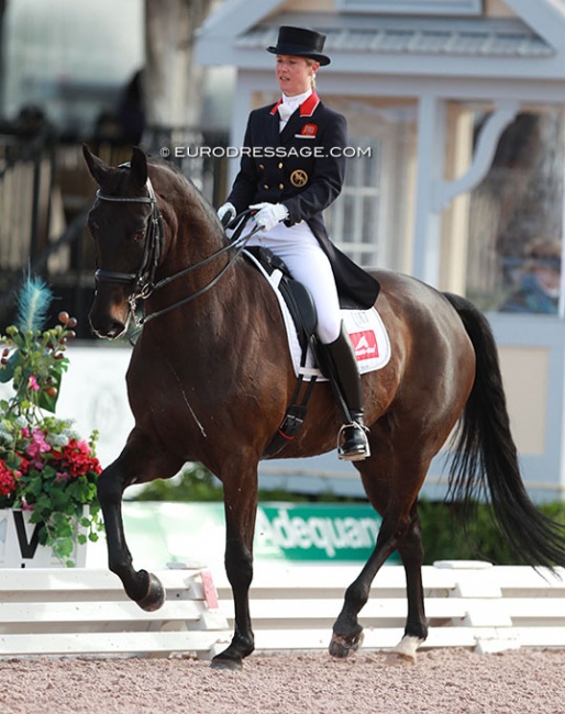 Laura Tomlinson and Rosalie B at the 2016 CDI Wellington :: Photo © Astrid Appels