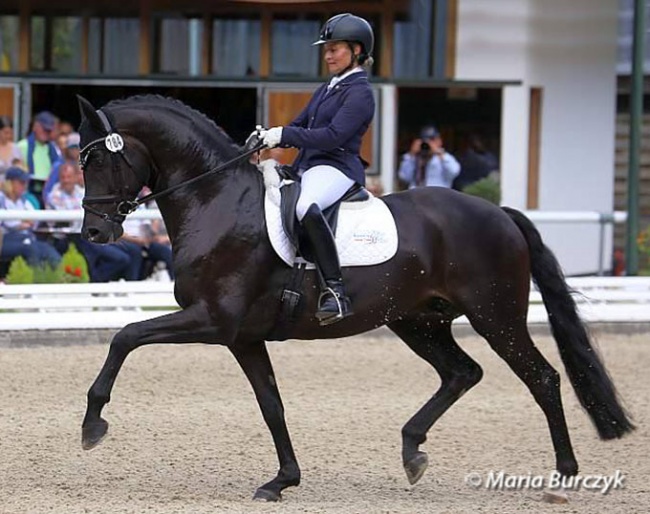Katrin Burger and Santo Dottore at the 2017 Bundeschampionate :: Photo © Maria Burczyk