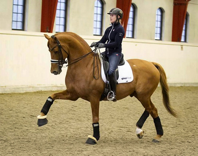 Anna Zibrandtsen on Dorado in Sweden :: Photo © Tullstorp.nu