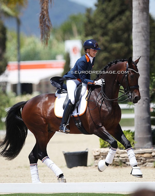 Evi van Rooij and Don Tango B at the 2021 European Junior Riders Championships :: Photo © Astrid Appels