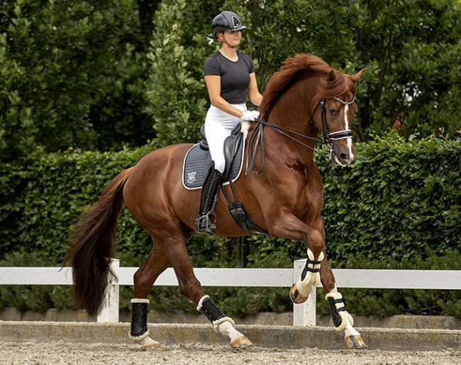 Emmelie Scholtens and Ibiza in June 2020 :: Photo © Equigeniek