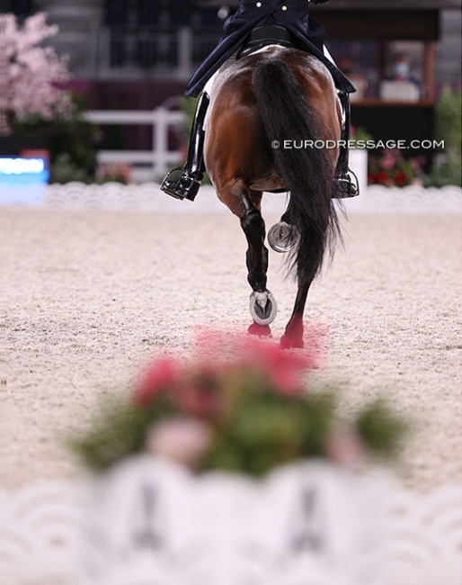 Dressage rider going down the centerline at the 2021 Olympic Games in Tokyo :: Photo © Astrid Appels