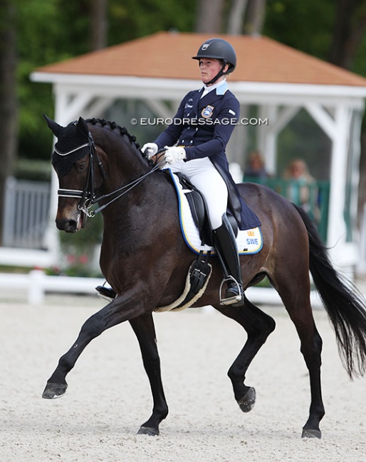 Malin Rinne and Scharmeur at the 2017 CDIO Compiegne :: Photo © Astrid Appels