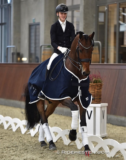 Anders Sjobeck Hoeck on Blue Hors Zwobber :: Photo © Ridehesten