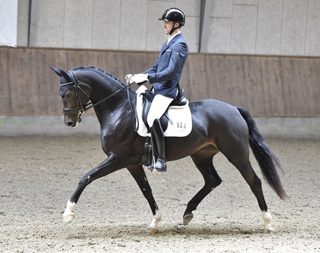 Lars Svarre Krogsgaard on his home bred 6-year old Danish warmblood Svarres Bellevue (by For Romance x Ferro)
