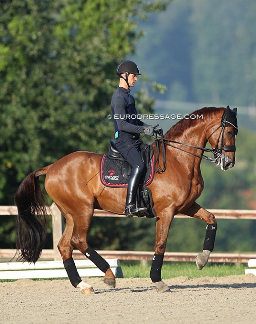 Daniel Bachmann Andersen schooling Marshall Bell at the 2021 European Championships in Hagen :: Photo © Astrid Appels