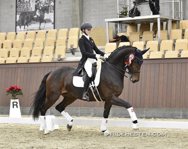 Danish junior rider Johanne Kofod Jensen on Frida :: Photo © Ridehesten
