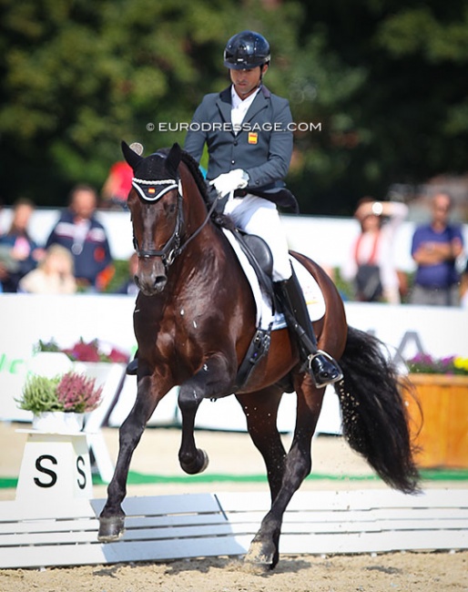 Pedro Hernandez and Fuego TG at the 2021 World Championships for Young Dressage Horses :: Photo © Astrid Appels