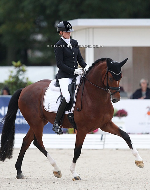 Leonie Richter and Francis Drake OLD at the 2021 World Young Horse Championships in Verden :: Photo © Astrid Appels