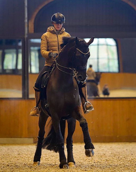 Lyndal Oatley and Dante's Herzchen at her yard Eulenhof in Germany :: Photo ©  Vera Kirillova