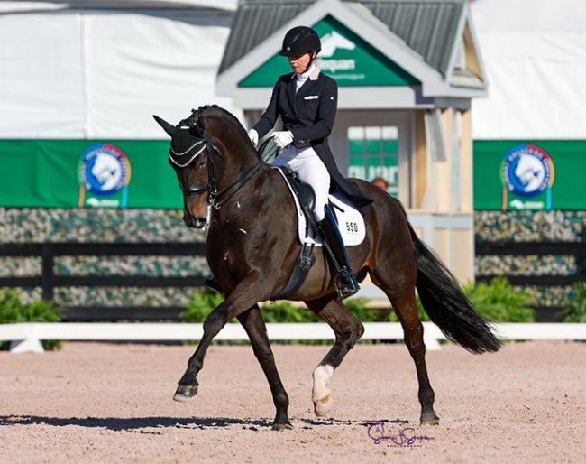 Susan Pape on Eclectisch at the 2022 CDI Wellington :: Photo © Sue Stickle