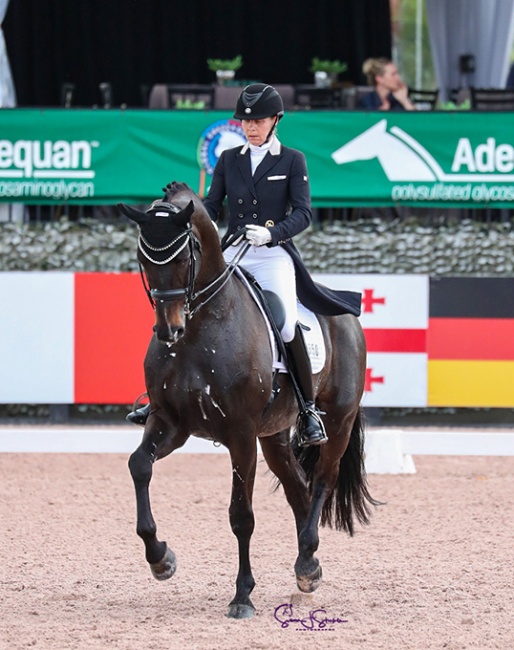 Susan Pape on Eclectisch at the 2022 CDI Wellington :: Photo © Sue Stickle