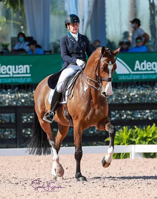 Tinne Vilhelmson-Silfvén and Devanto at the 2022 CDI-W Wellington :: Photo © Sue Stickle