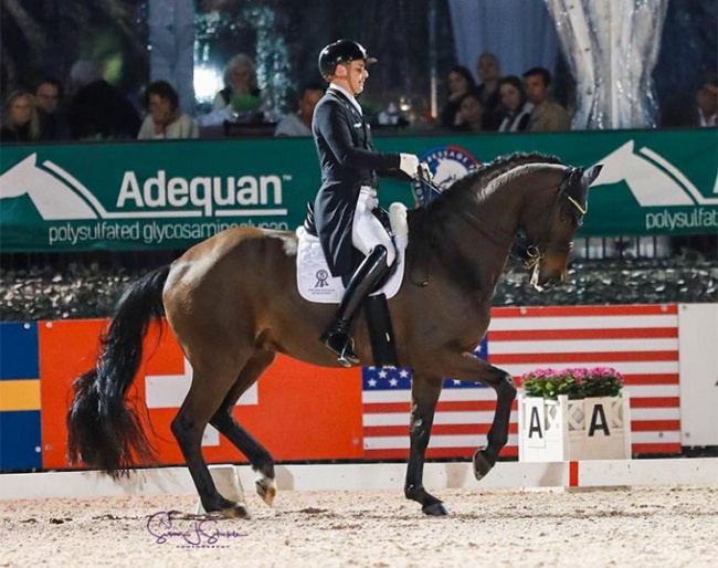 Frederic Wandres and Bluetooth OLD at the 2022 CDI-W Wellington :: Photo © Sue Stickle