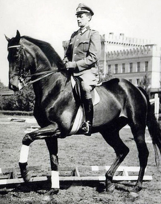 DDR-Olympic Team rider Wolfgang Müller on Marios :: Photo © Achim Begall