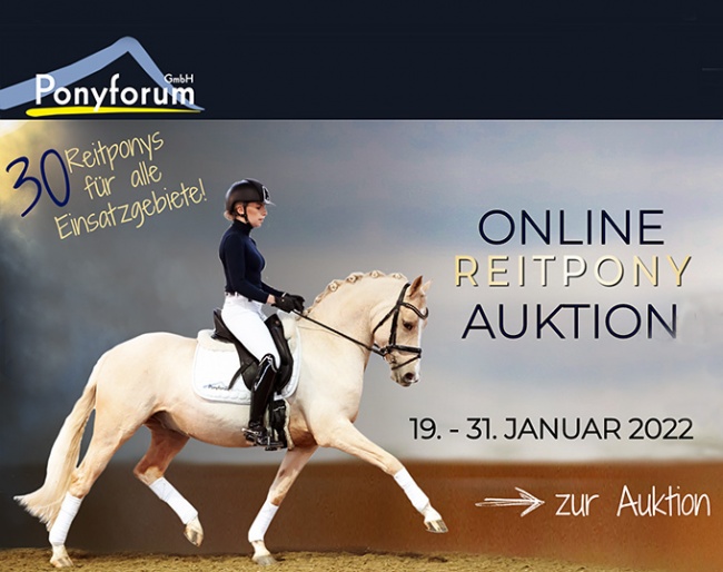 Riding Pony Online Auction on 20 - 31 January 2022