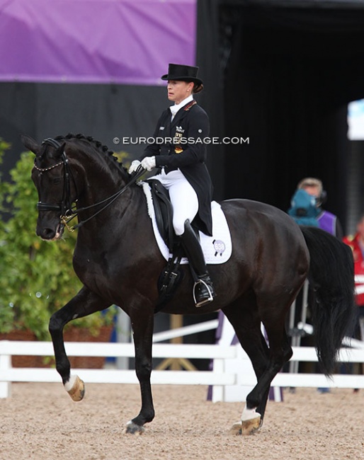 Weihegold at the 2017 European Dressage Championships :: Photo © Astrid Appels