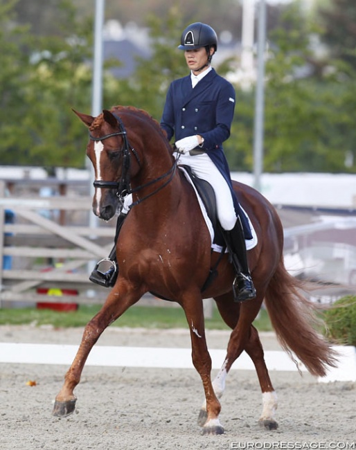 Kazuki Sado on Ludwig der Sonnenkonig at the 2019 CDI Waregem :: Photo © Astrid Appels