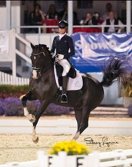 Shannon Stevens and Ferrari at the 2021 CDI-W Devon :: Photo © Stacy Lynn Photography