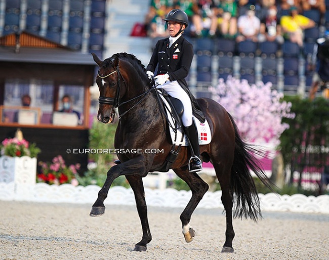 Blue Hors Zack competing at the 2021 Olympic Games in Tokyo :: Photo © Astrid Appels